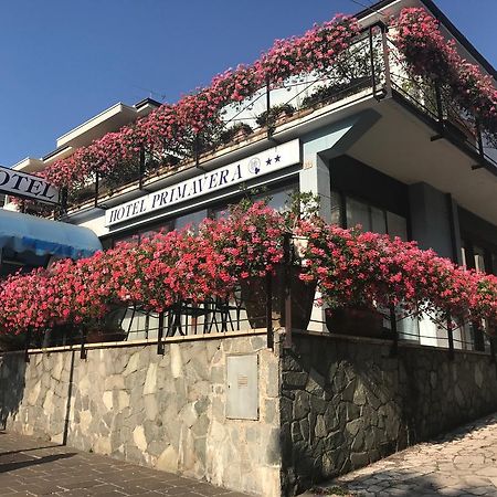 Hotel Primavera デセンツァーノ・デル・ガルダ エクステリア 写真