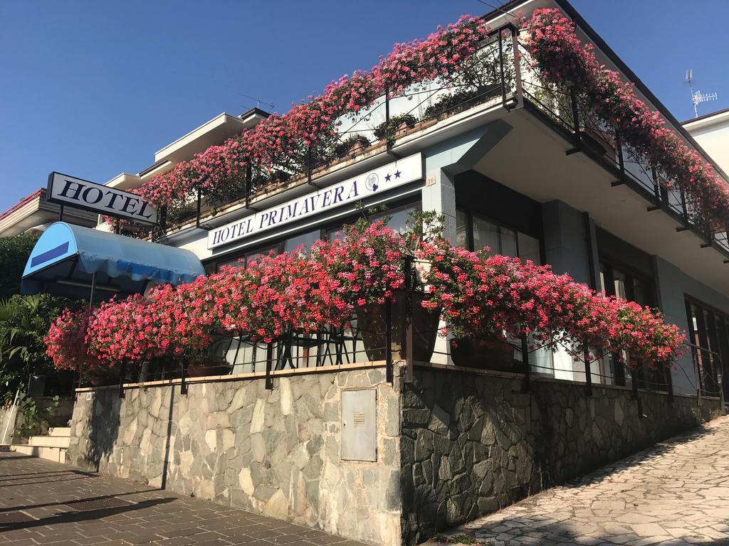 Hotel Primavera デセンツァーノ・デル・ガルダ エクステリア 写真